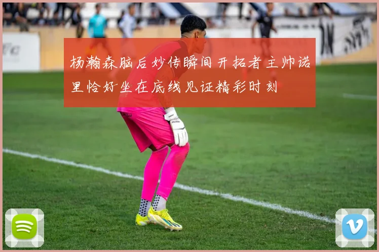 杨瀚森脑后妙传瞬间开拓者主帅诺里恰好坐在底线见证精彩时刻