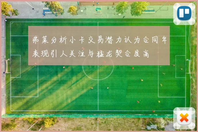 弗莱分析小卡交易潜力认为合同年表现引人关注与猛龙契合度高