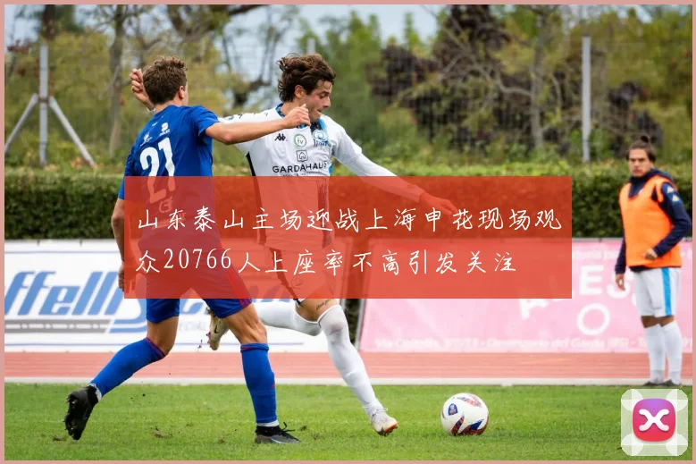 山东泰山主场迎战上海申花现场观众20766人上座率不高引发关注